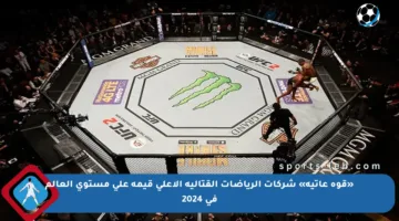 «قوة عاتية» شركات الرياضات القتالية الأعلى قيمة على مستوى العالم في 2024